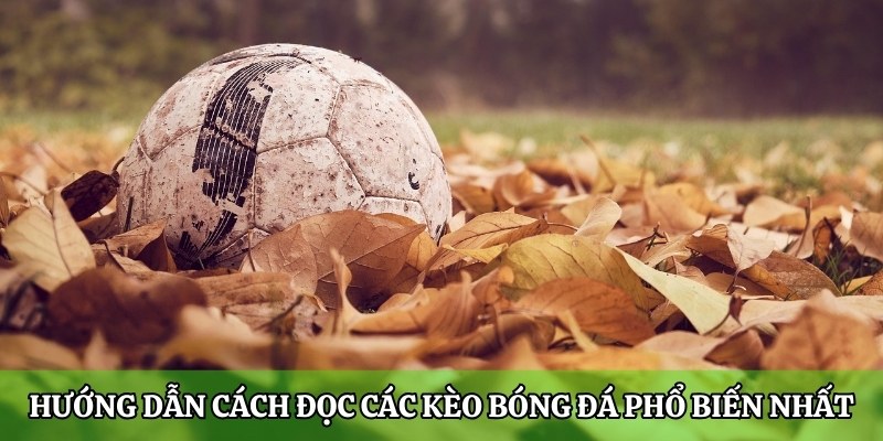 Hướng dẫn cách đọc các kèo bóng đá phổ biến nhất